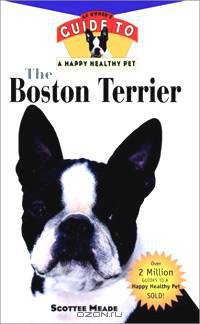 The Boston Terrier: An Owner