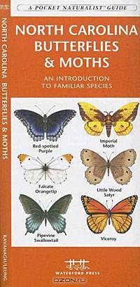 North Carolina Butterflies & Moths: An Introduction to Familiar Species