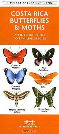 Costa Rica Butterflies & Moths: An Introduction to Familiar Species