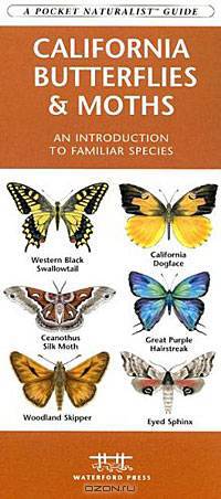 California Butterflies & Moths: An Introduction to Familiar Species