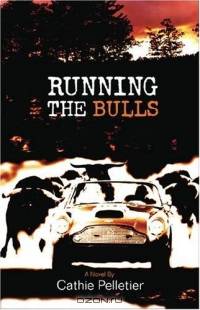 Running the Bulls: A Novel (Hardscrabble Books)