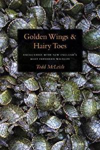 Golden Wings & Hairy Toes: Encounters with New England
