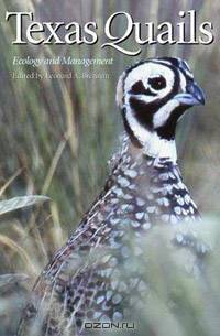 Texas Quails: Ecology and Management