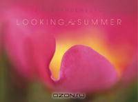 Looking for the Summer