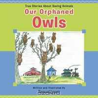 Our Orphaned Owls