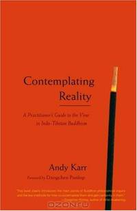 Contemplating Reality: A Practitioner