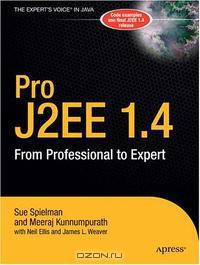 Pro J2EE 1.4: From Professional to Expert