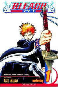 Bleach, Vol. 1: The Death and the Strawberry
