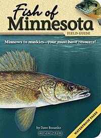 Fish of Minnesota Field Guide