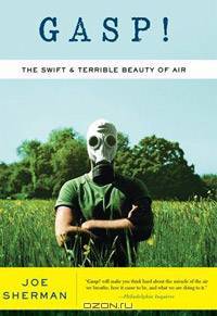 Gasp!: The Swift and Terrible Beauty of Air