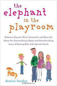 The Elephant in the Playroom: Ordinary Parents Write Intimately and Honestly About the Extraordinary Highs and Heartbreaking Lows of Raising Kids with Special Needs