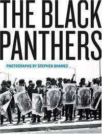 The Black Panthers