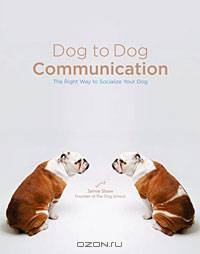 Dog to Dog Communication: The Right Way to Socialize Your Dog