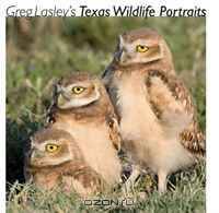 Greg Lasley