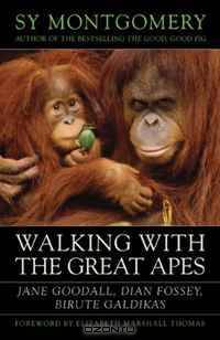 Walking with the Great Apes