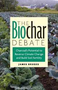 The Biochar Debate: Charcoal
