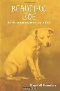 Beautiful Joe