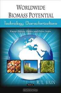 Worldwide Biomass Potential: Technology Characterizations (Energy Policies Politics and Prices Series)