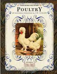 Poultry