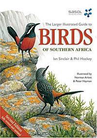 Larger Illustrated Guide to Birds of Southern Africa