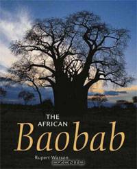 The African Baobab