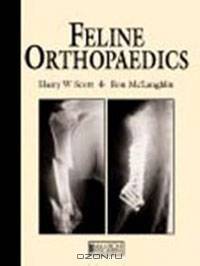 Feline Orthopaedics