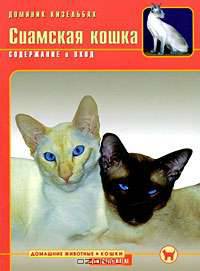 Сиамская кошка. Содержание и уход