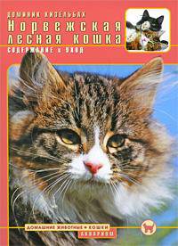 Норвежская лесная кошка. Содержание и уход