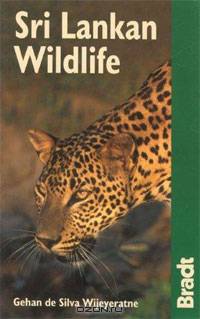 Sri Lankan Wildlife