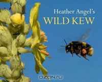 Heather Angel