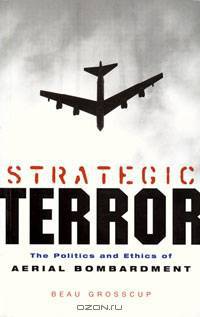 Strategic Terror: The Politics and Ethics of Aerial Bombardment