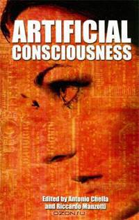 Artificial Consciousness