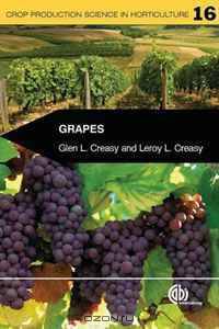 Grapes (Cabi)