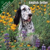 English Setter 2007 Wall Calendar