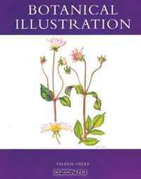 Botanical Illustration