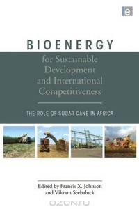 Bioenergy for Sustainable Development and International Competitiveness: The Role of Sugar Cane in Africa