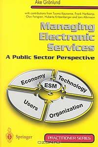 Managing Electronic Services: A Public Sector Perspective (Practitioner Series (Springer-Verlag).)