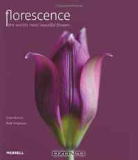 Florescence: The World