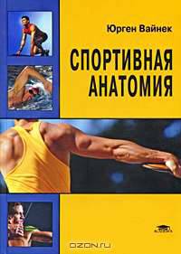 Спортивная анатомия