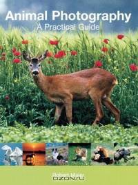 Animal Photography : A Practical Guide