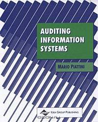 Auditing Information Systems