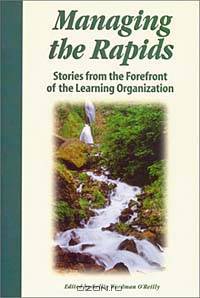 Reflections on Creating Learning Organizations