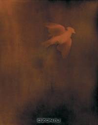 Adam Fuss