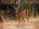 Psalms of Promise, 