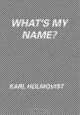 Karl Holmqvist: What