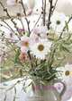 Country Flowers Thumbhole Address Book, 