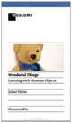 Wonderful Things - Learning with Museum Objects, Julian Vayne 