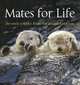 Mates for Life: Devoted Couples from the Animal Kingdom., Ammonite Press 
