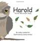 Harold, The Owl Who Couldn