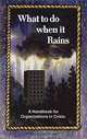 What to do when it Rains : A Handbook for Organizations in Crisis, Toni Lynn Chinoy 
